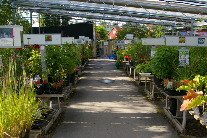 Årets plantskolesortiment