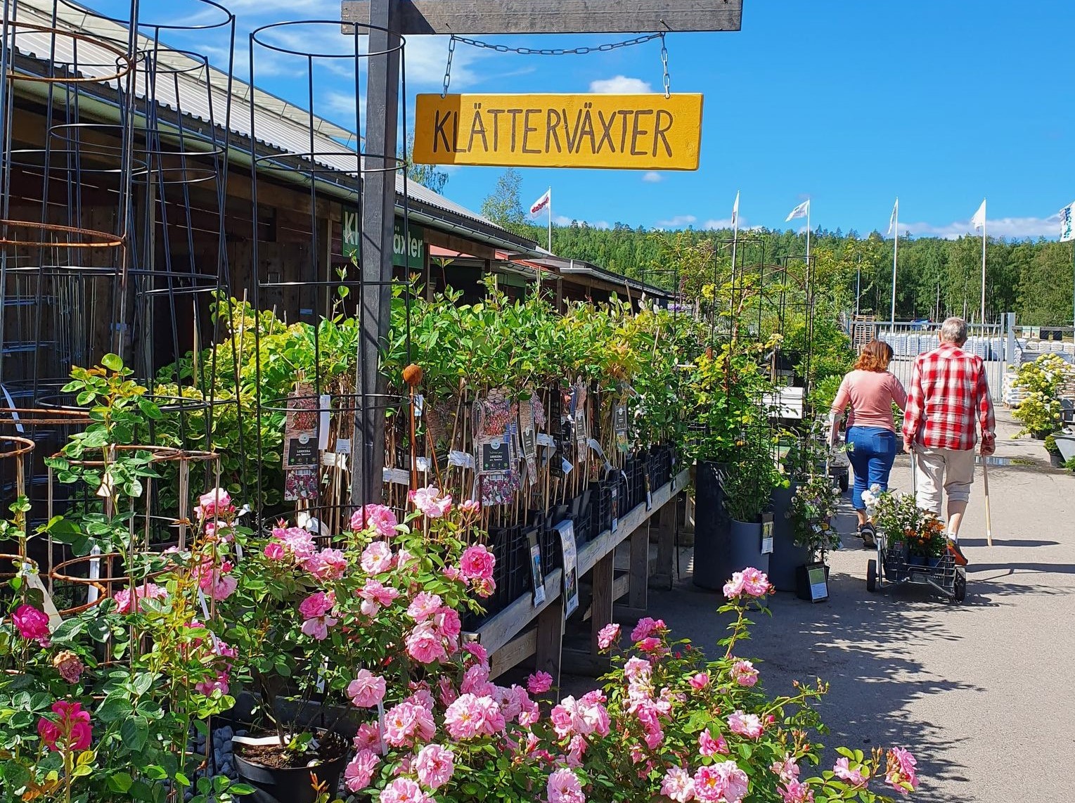 populära handelsträdgård i Hälsingland